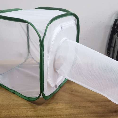 insect rearing cage