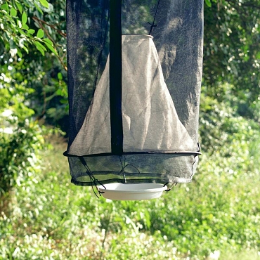 butterfly bait trap